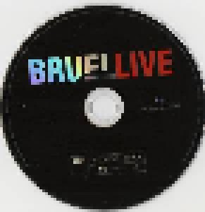 Patrick Bruel: Live - Des Souvenirs. Ensemble (2-DVD) - Bild 3