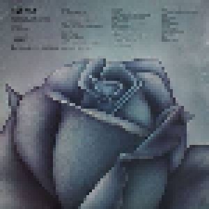 Blue Rose: Blue Rose (LP) - Bild 2