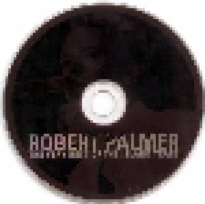 Robert Palmer: The Very Best Of The Island Years (CD) - Bild 2