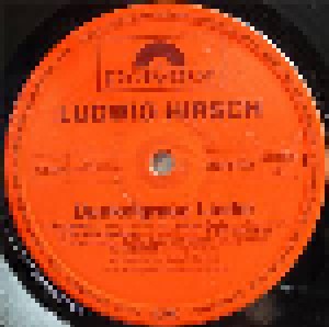 Ludwig Hirsch: Dunkelgraue Lieder (LP) - Bild 3