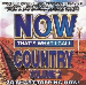 Now That's What I Call Country Vol. 2 (CD) - Bild 1