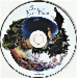 Songs For A Better Planet (CD) - Bild 3