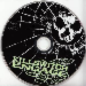 Killswitch Engage: As Daylight Dies (CD) - Bild 4