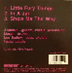 Dinosaur Jr.: Little Fury Things (Single-CD) - Bild 2