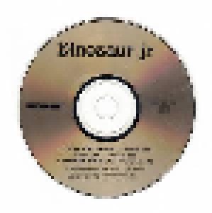 Dinosaur Jr.: Little Fury Things (Single-CD) - Bild 3