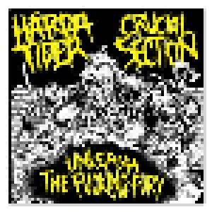 Cover - Crucial Section: Unleash The Fucking Fury