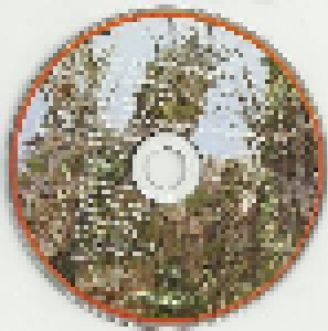 Rough Trade Shops: Green Man '11 (CD) - Bild 2