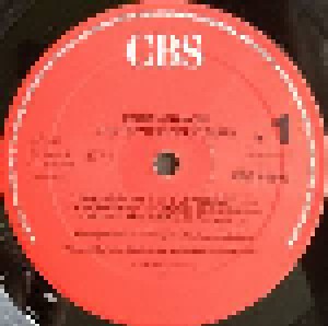 The Psychedelic Furs: Forever Now (LP) - Bild 2