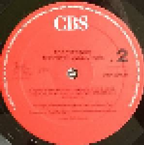 The Psychedelic Furs: Forever Now (LP) - Bild 3