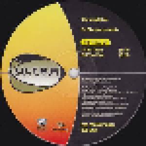 DJ Disciple: The Fixed EP (Promo-12") - Bild 2