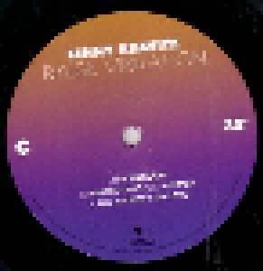 Lenny Kravitz: Raise Vibration (2-LP) - Bild 7