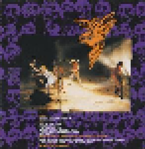 Die Toten Hosen: 1000 Gute Gründe (Single-CD) - Bild 2