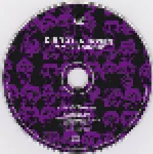 Die Toten Hosen: 1000 Gute Gründe (Single-CD) - Bild 3
