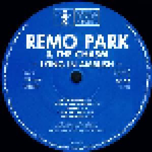 Remo Park & The Chasm: Lying In Ambush (LP) - Bild 4