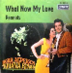 Herb Alpert & The Tijuana Brass: What Now My Love - Cover