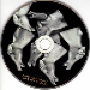 Emma Ruth Rundle: On Dark Horses (CD) - Bild 3