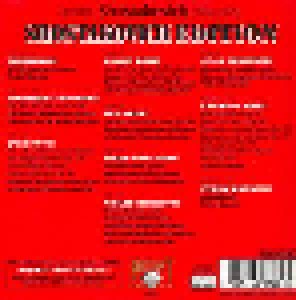 Dmitri Dmitrijewitsch Schostakowitsch: Shostakovich Edition (27-CD + DVD) - Bild 2
