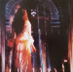 Andrew Lloyd Webber: The Phantom Of The Opera (2-LP) - Bild 9