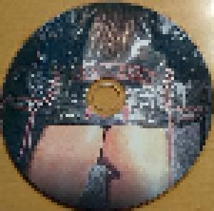 Sexcess: Sexcess (Mini-CD-R / EP) - Bild 6