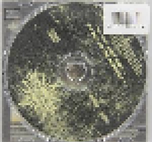 Godsmack: Straight Out Of Line (Singel-CD) - Bild 2