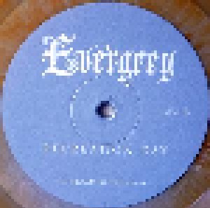Evergrey: Recreation Day (2-LP) - Bild 5
