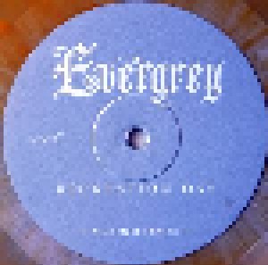 Evergrey: Recreation Day (2-LP) - Bild 6