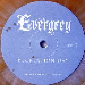 Evergrey: Recreation Day (2-LP) - Bild 7