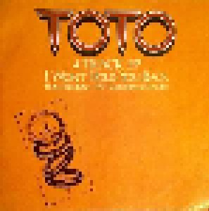 Toto: I Won't Hold You Back (12") - Bild 1