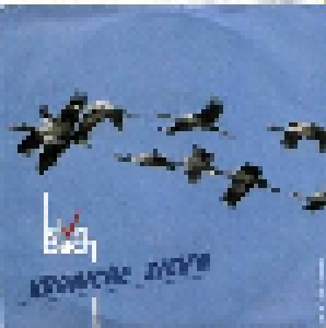 Elve Bach: Kraniche Zieh'n (7") - Bild 1