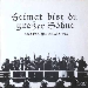 Cover - Dr. Rickenberger Und Ein Nervöser Vogel: Heimat Bist Du Großer Söhne