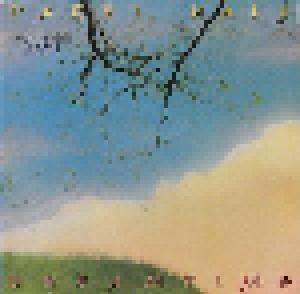 Daryl Hall: Dreamtime - Cover