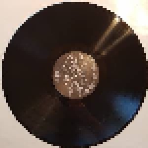 Soulfly: Ritual (LP) - Bild 3