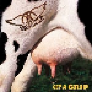 Aerosmith: Get A Grip (2-LP) - Bild 1