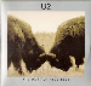 U2: The Best Of 1990-2000 (2-LP) - Bild 1