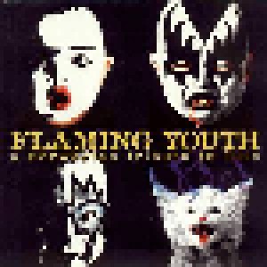 Cover - Jungle Medics, The: Flaming Youth - A Norwegian Tribute To Kiss
