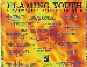 Flaming Youth - A Norwegian Tribute To Kiss (CD) - Bild 2