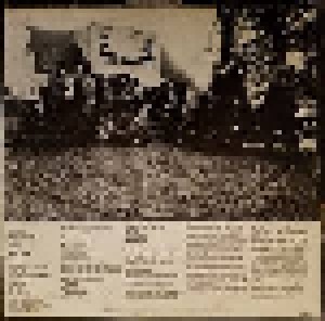 Bonnie Raitt: Bonnie Raitt (LP) - Bild 2
