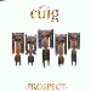Cover - Cúig: Prospect