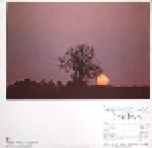 Fleetwood Mac: Bare Trees (LP) - Bild 2