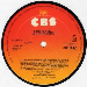 Julio Iglesias: Mes Chansons En Français (3-LP) - Bild 8