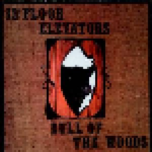 The 13th Floor Elevators: Bull Of The Woods (CD) - Bild 1