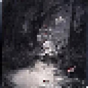 Amorphis: Silent Waters (2-LP) - Bild 2