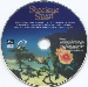 Steeleye Span: Steeleye Span (DVD) - Bild 5
