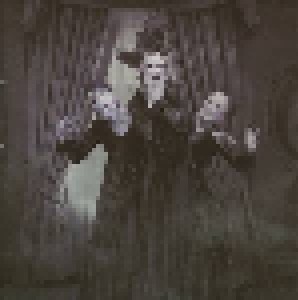 Sopor Aeternus & The Ensemble Of Shadows: Have You Seen This Ghost? (CD) - Bild 1