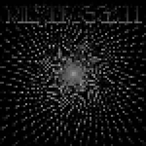 Meshuggah: Psykisk Testbild (12") - Bild 1