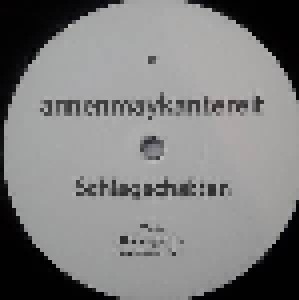 AnnenMayKantereit: Schlagschatten (2-LP + CD) - Bild 7