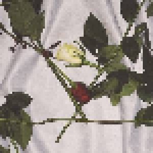 Chain Of Flowers: Chain Of Flowers (LP) - Bild 1