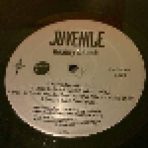 Juvenile: Reality Check (2-LP) - Bild 2
