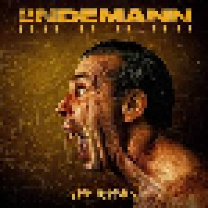Cover - Lindemann: Mathematik