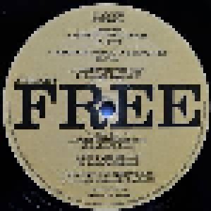 The Derek Trucks Band: Already Free (2-LP) - Bild 6